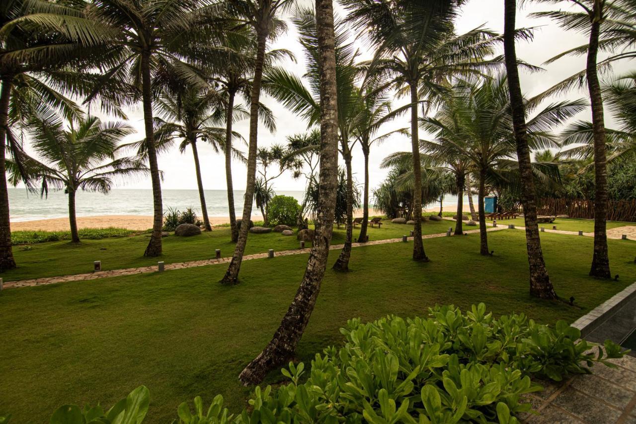 The Rockwall Boutique Hotel Bentota Exteriör bild